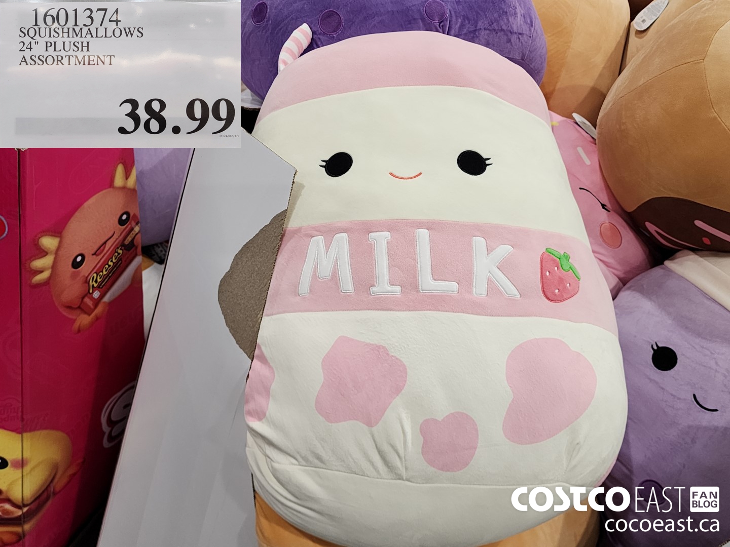 1601374 SQUISHMALLOWS 24