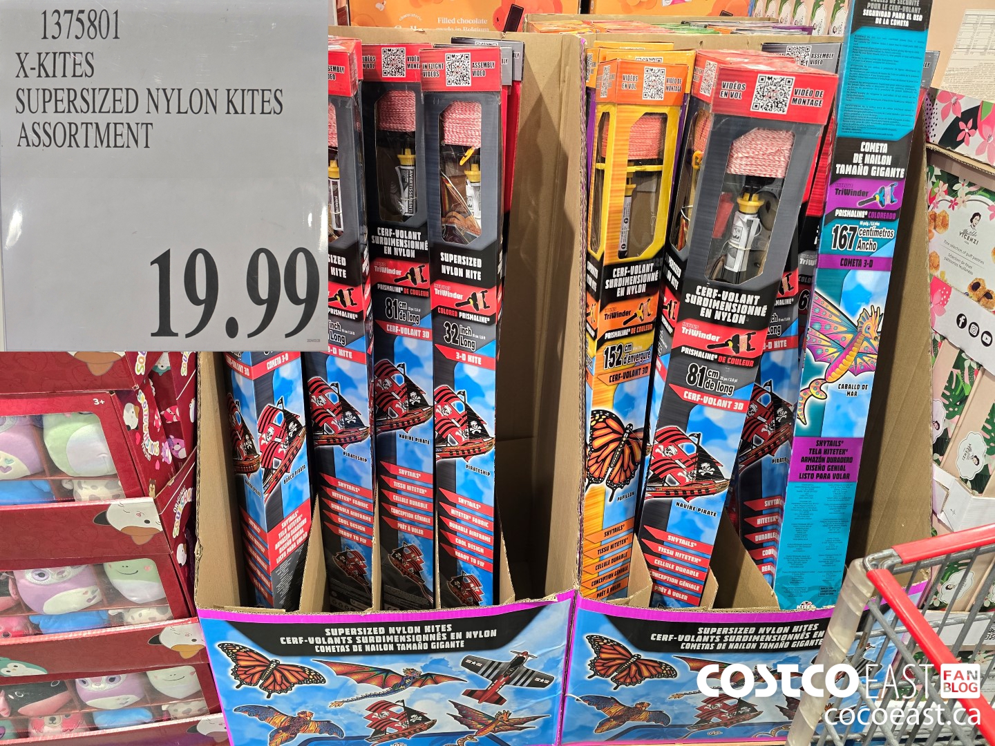 1375801 X-KITES SUPERSIZED NYLON KITES ASSORTMENT $19.99