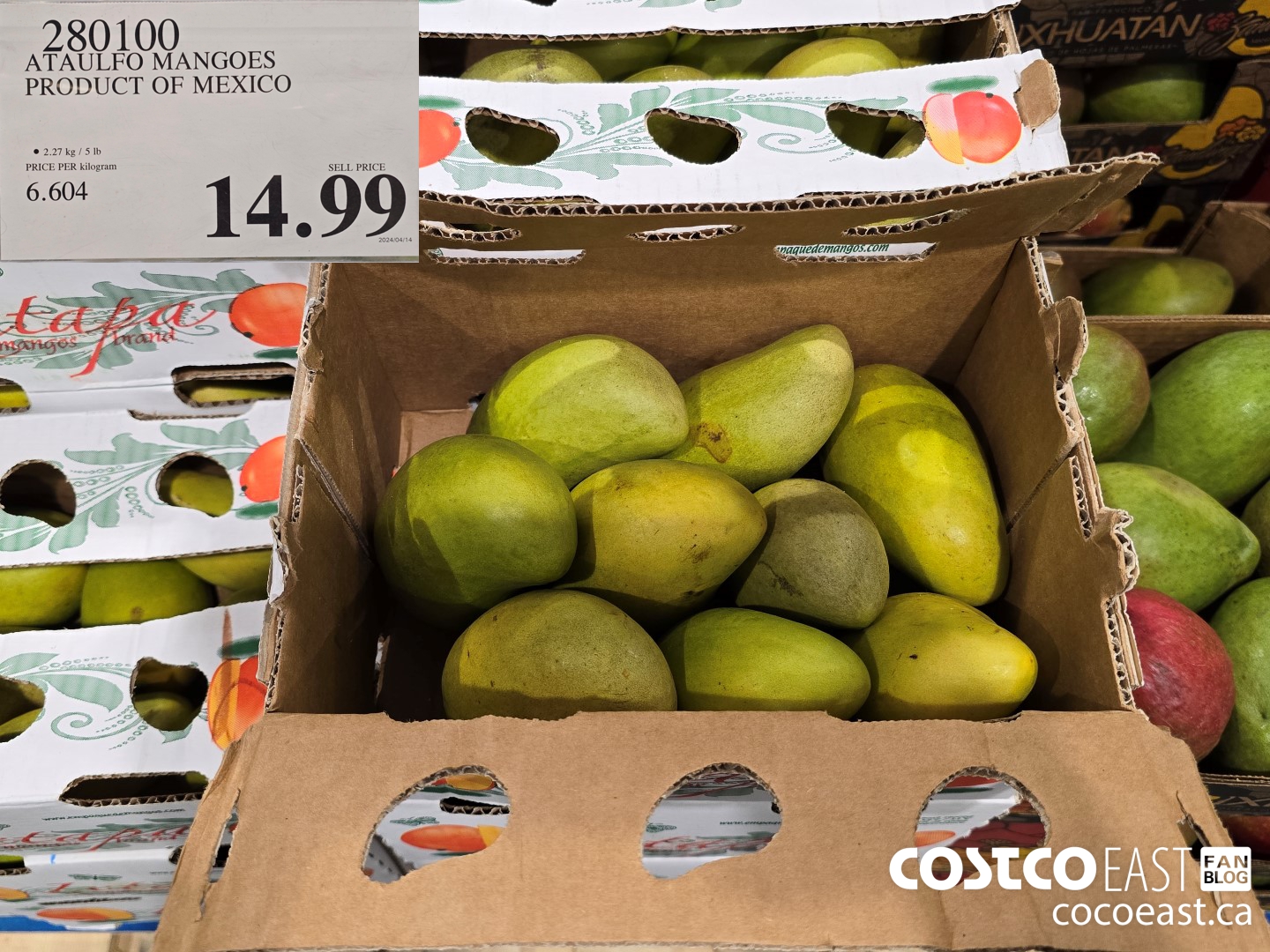 280100 ATAULFO MANGOES PRODUCT OF MEXICO $14.99