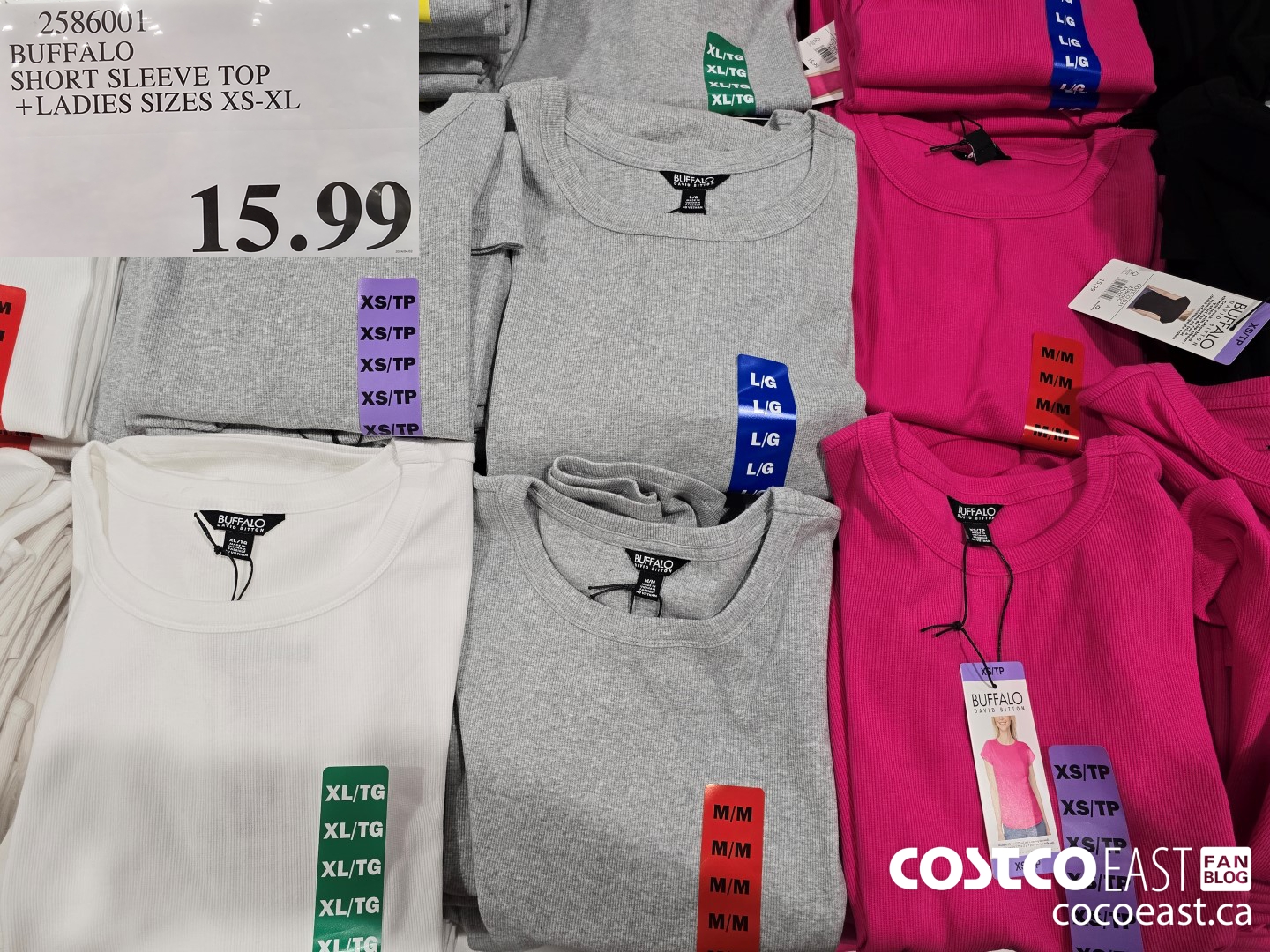 2586001 BUFFALO SHORT SLEEVE TOP + LADIES SIZES XS-XL $15.99