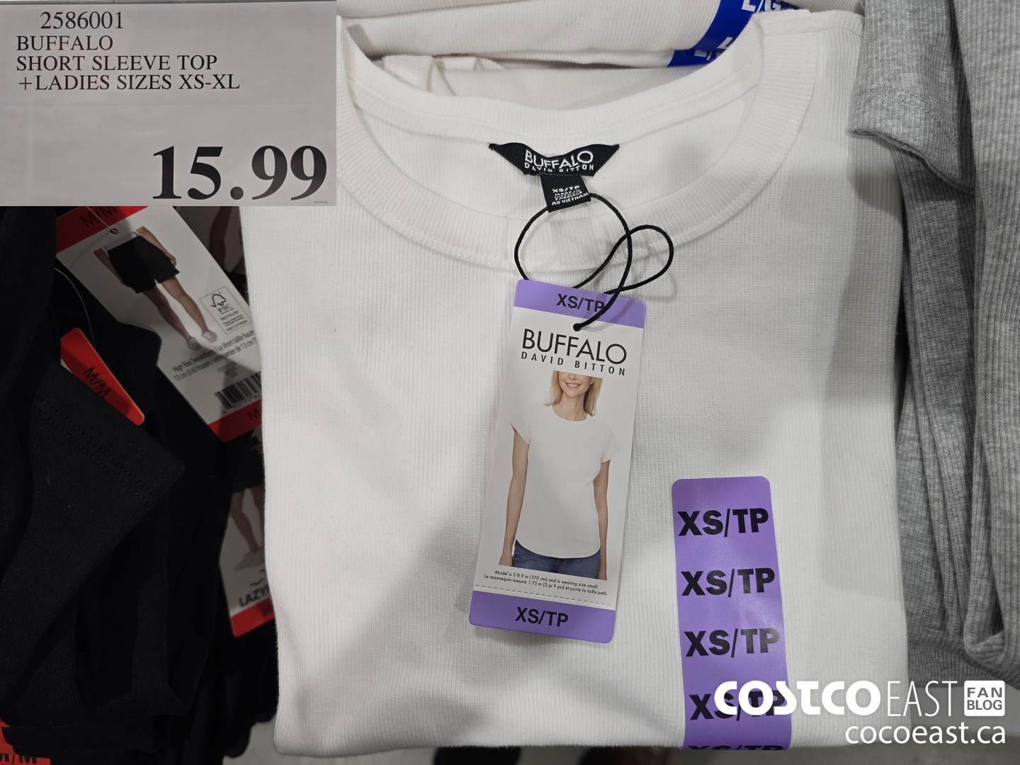 2586001 BUFFALO SHORT SLEEVE TOP + LADIES SIZES XS-XL $15.99