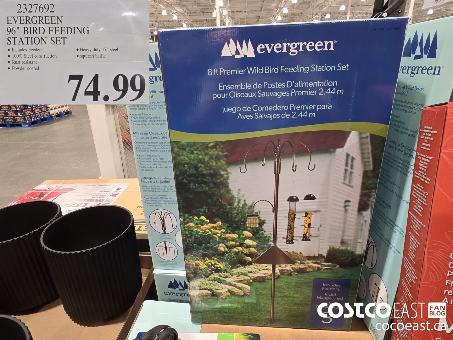 2327692 EVERGREEN 96