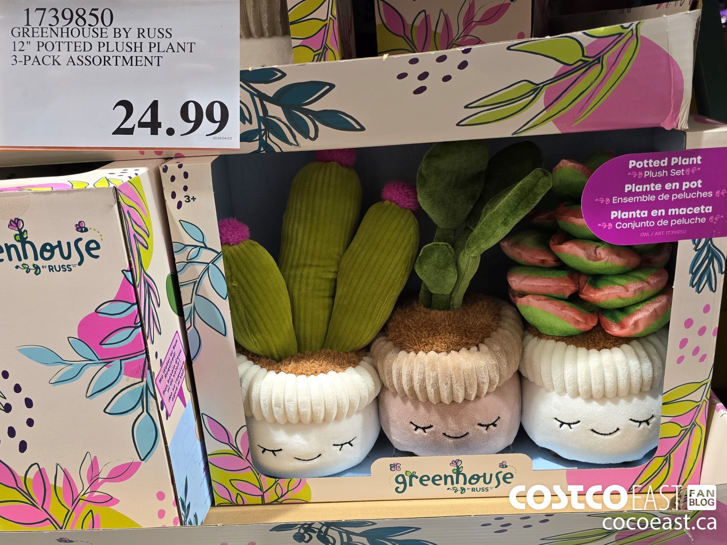 1739850 GREENHOUSE BY RUSS 12