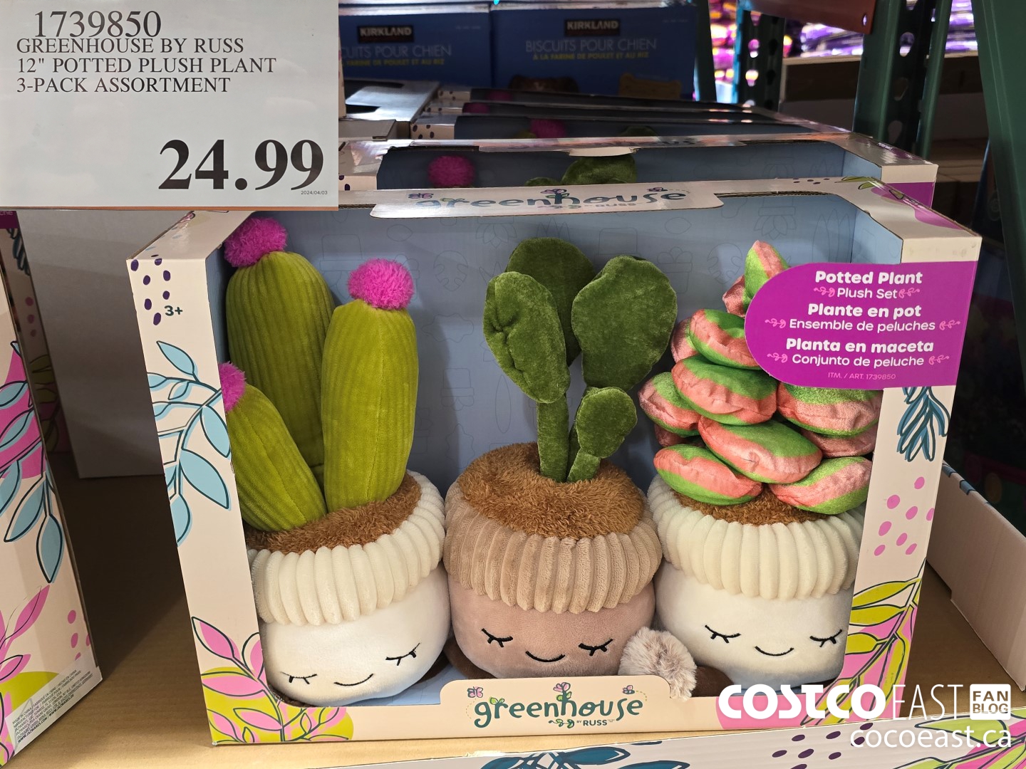 1739850 GREENHOUSE BY RUSS 12