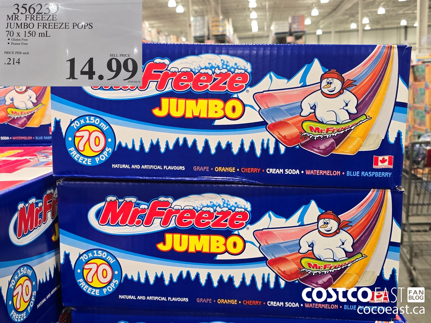 356239 MR. FREEZE JUMBO FREEZE POPS 70 X 150 ML $14.99