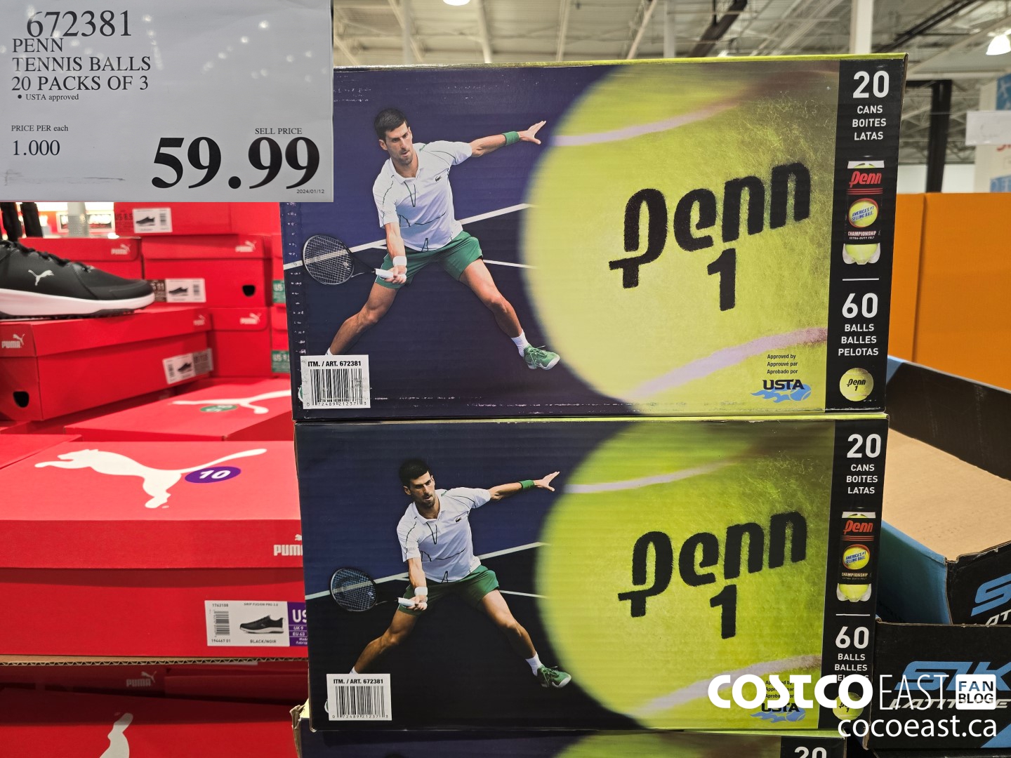 672381 PENN TENNIS BALLS 20 PACKS OF 3 $59.99