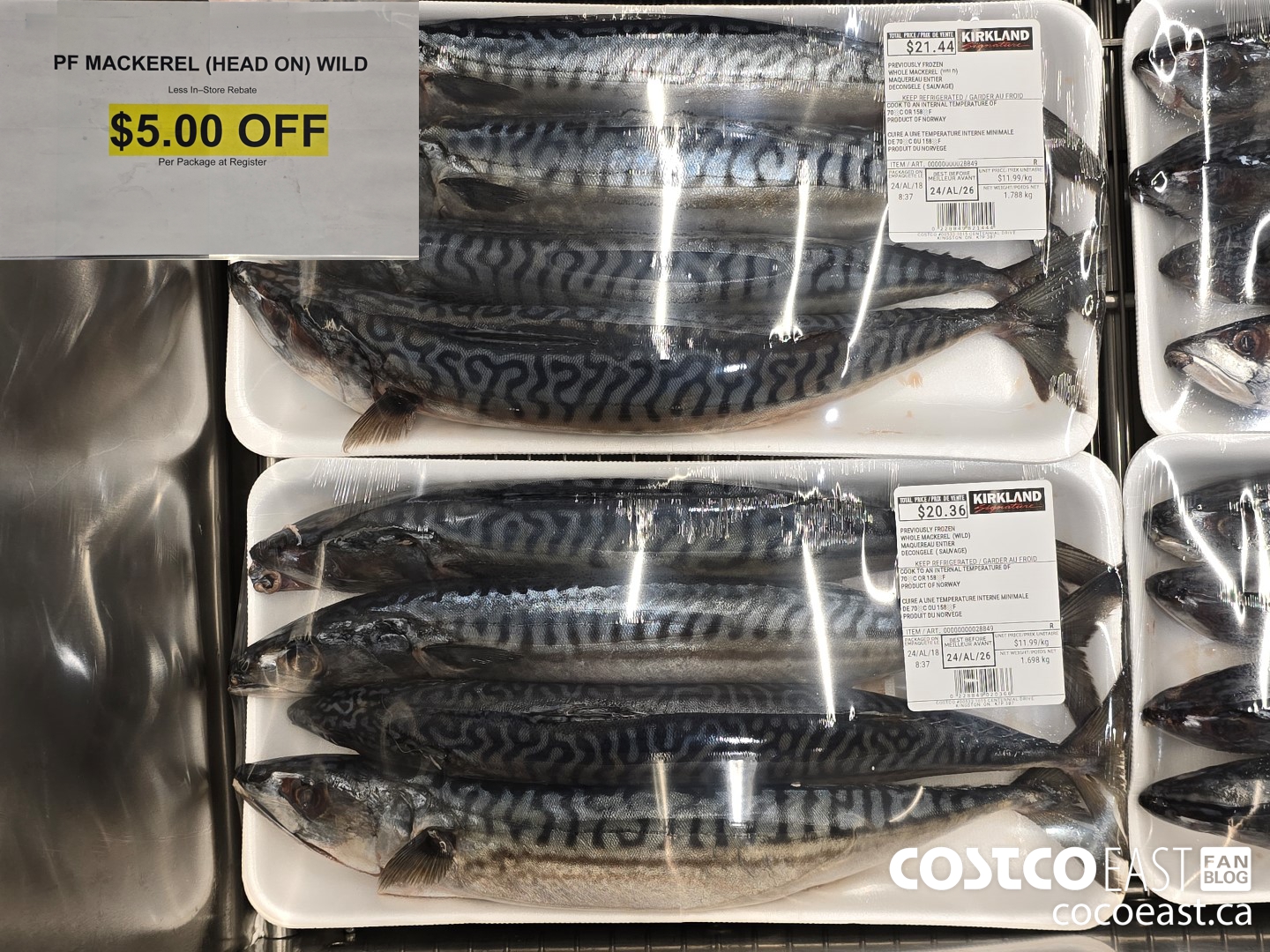28849 PF Mackerel (HEAD ON) WILD ($5.00 INSTANT SAVINGS)