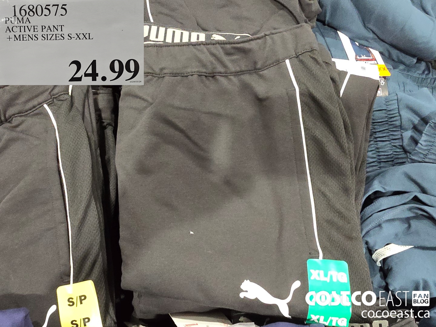 1680575 PUMA ACTIVE PANT +MENS SIZES S-XXL $24.99