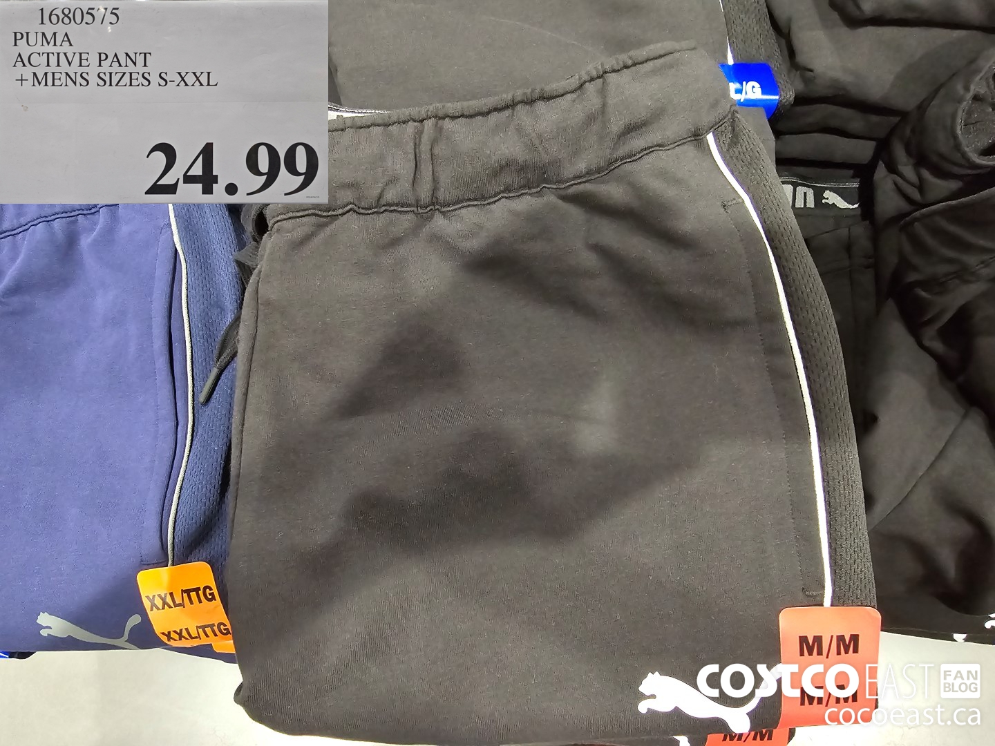 1680575 PUMA ACTIVE PANT +MENS SIZES S-XXL $24.99