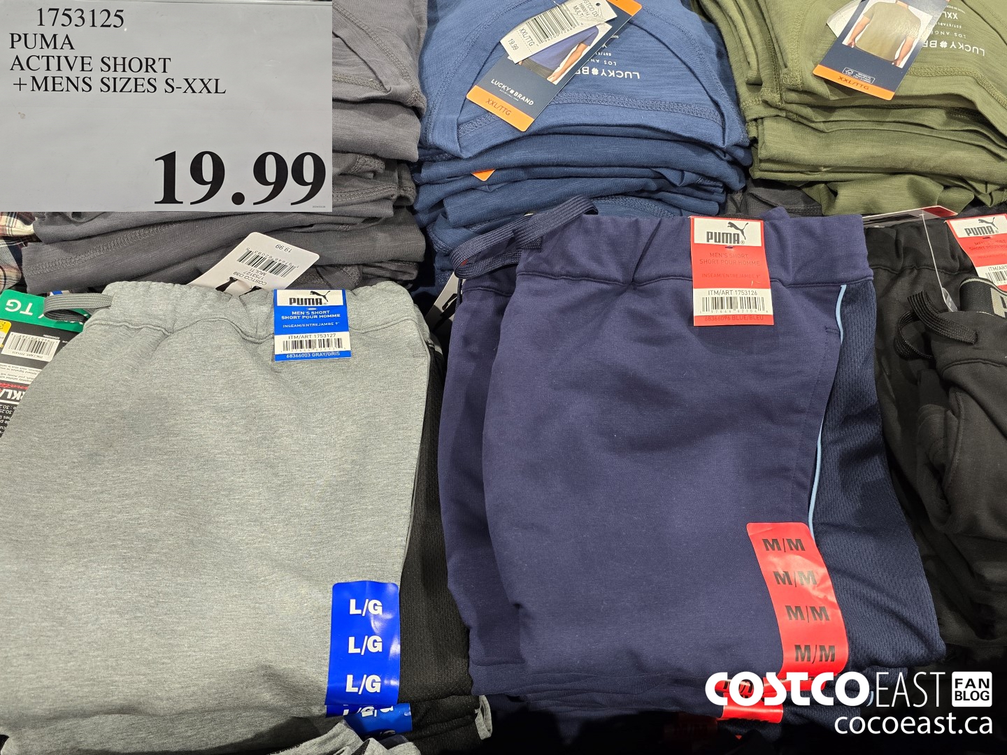 1753125 PUMA ACTIVE SHORT +MENS SIZES S-XXL $19.99