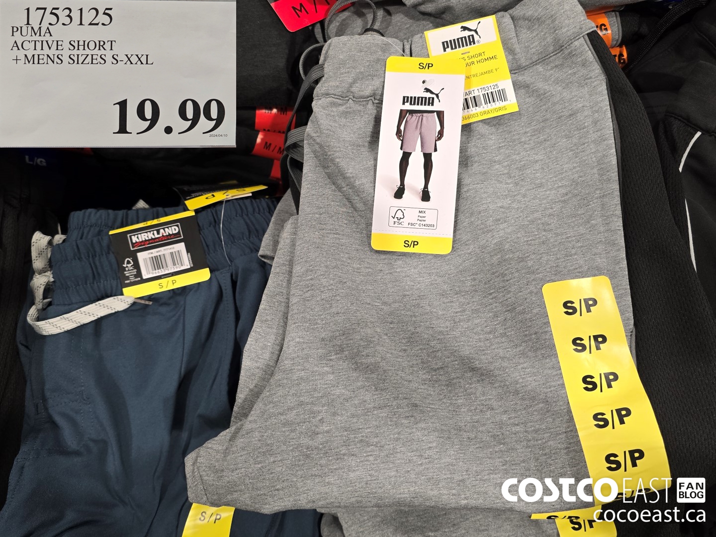 1753125 PUMA ACTIVE SHORT +MENS SIZES S-XXL $19.99