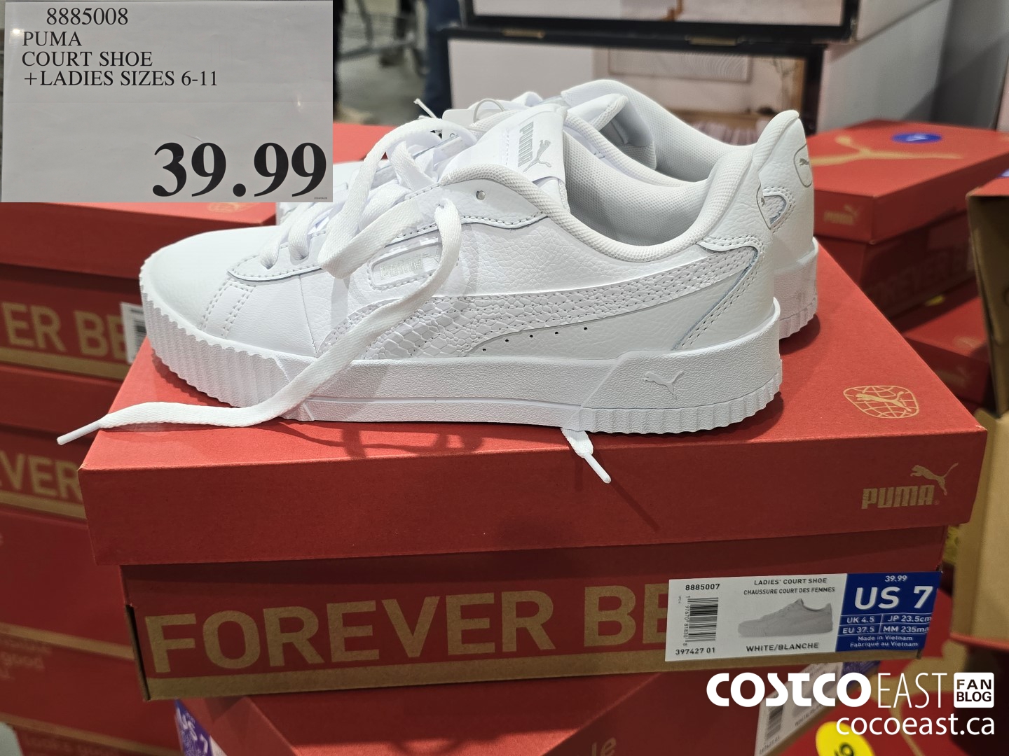 8885008 PUMA COURT SHOE +LADIES SIZES 6-11 $39.99