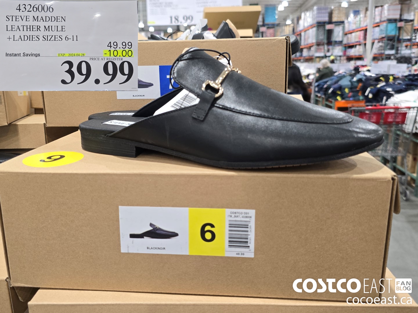 4326006 STEVE MADDEN LEATHER MULE +LADIES SIZES 6-11 ($10.00 INSTANT SAVINGS EXPIRES ON 2024-04-28) $39.99