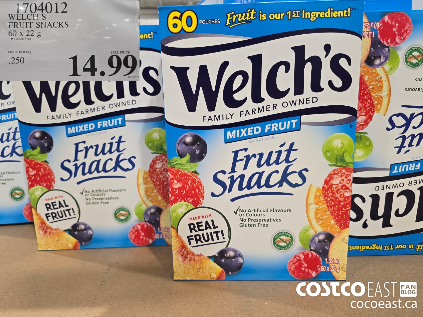 1704012 WELCH'S FRUIT SNACKS 60 X 22 G $14.99