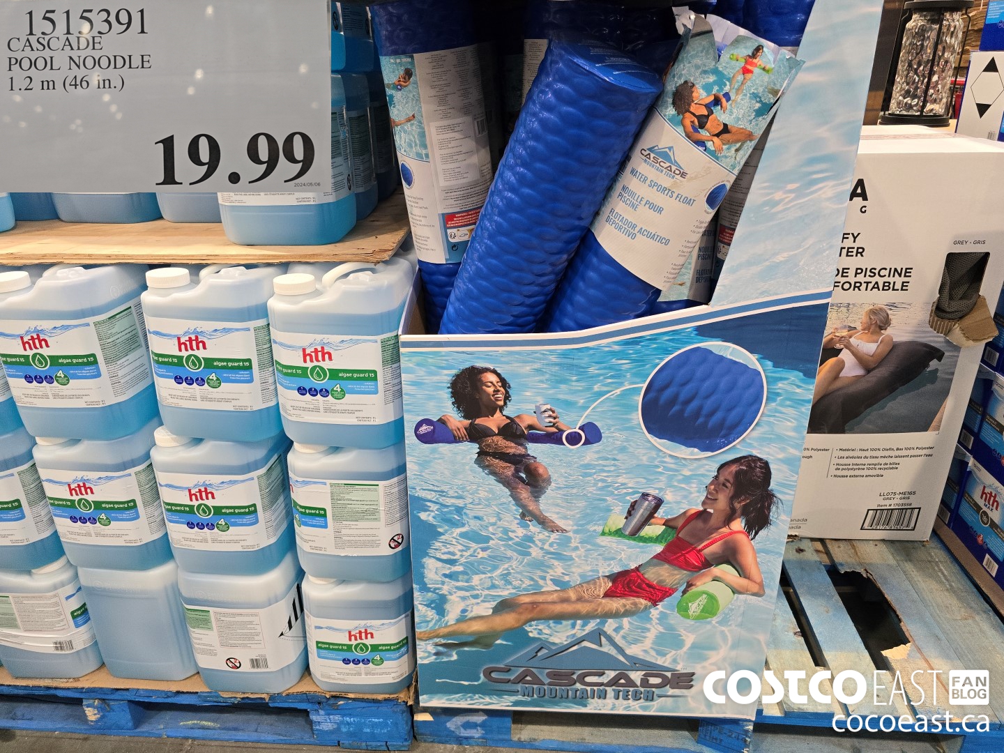 1515391 CASCADE POOL NOODLE 1.2 m (46 in.) $19.99