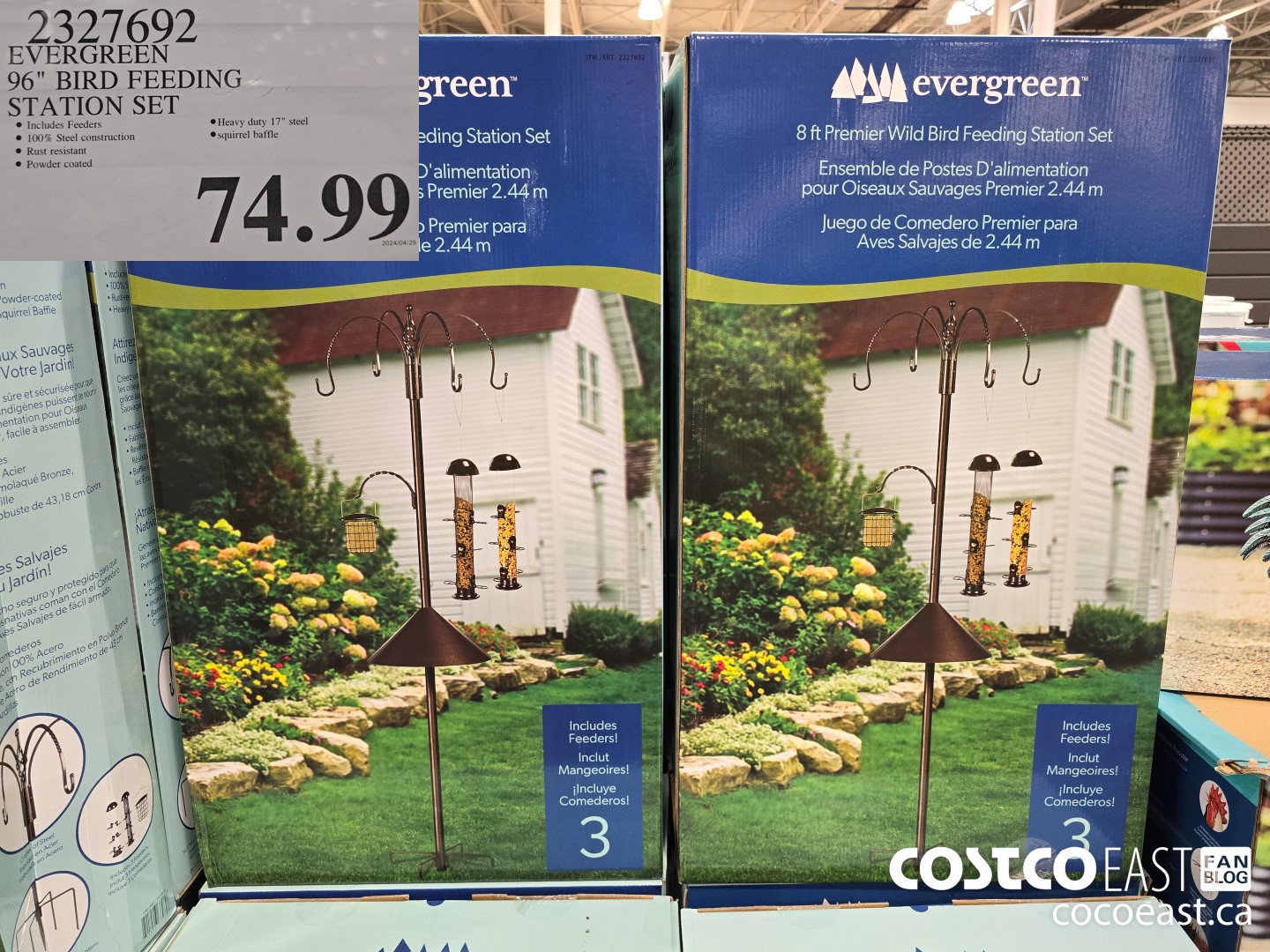 2327692 EVERGREEN 96