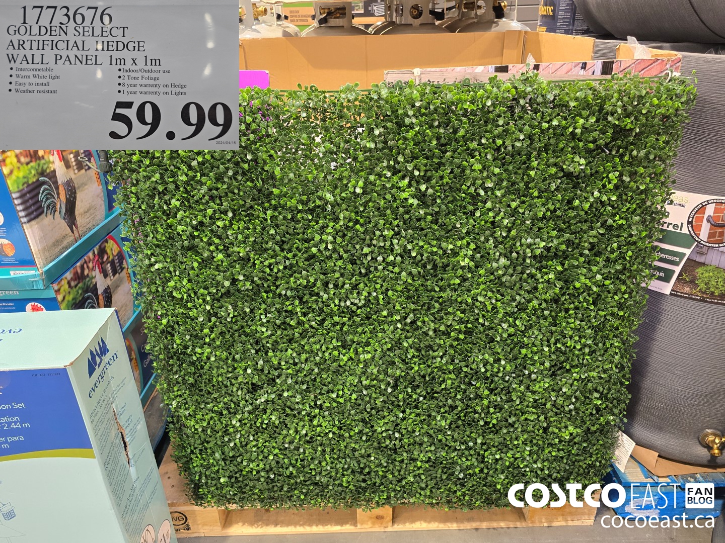 1773676 GOLDEN SELECT ARTIFICIAL HEDGE WALL PANEL 1M X 1M $59.99