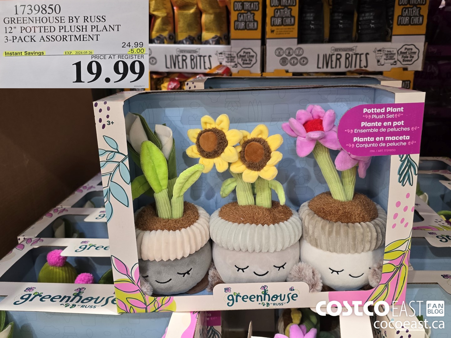 1739850 GREENHOUSE BY RUSS 12