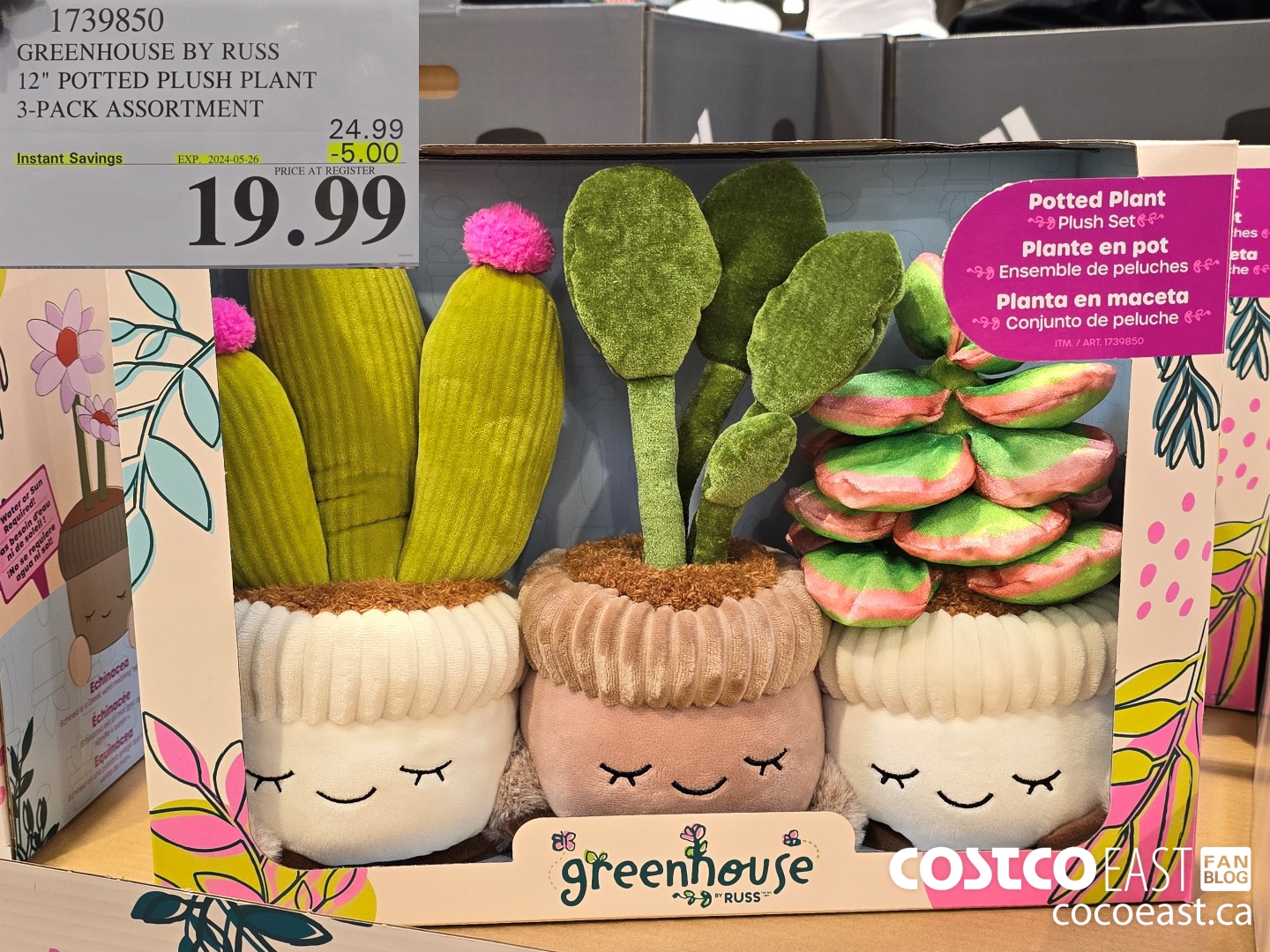 1739850 GREENHOUSE BY RUSS 12