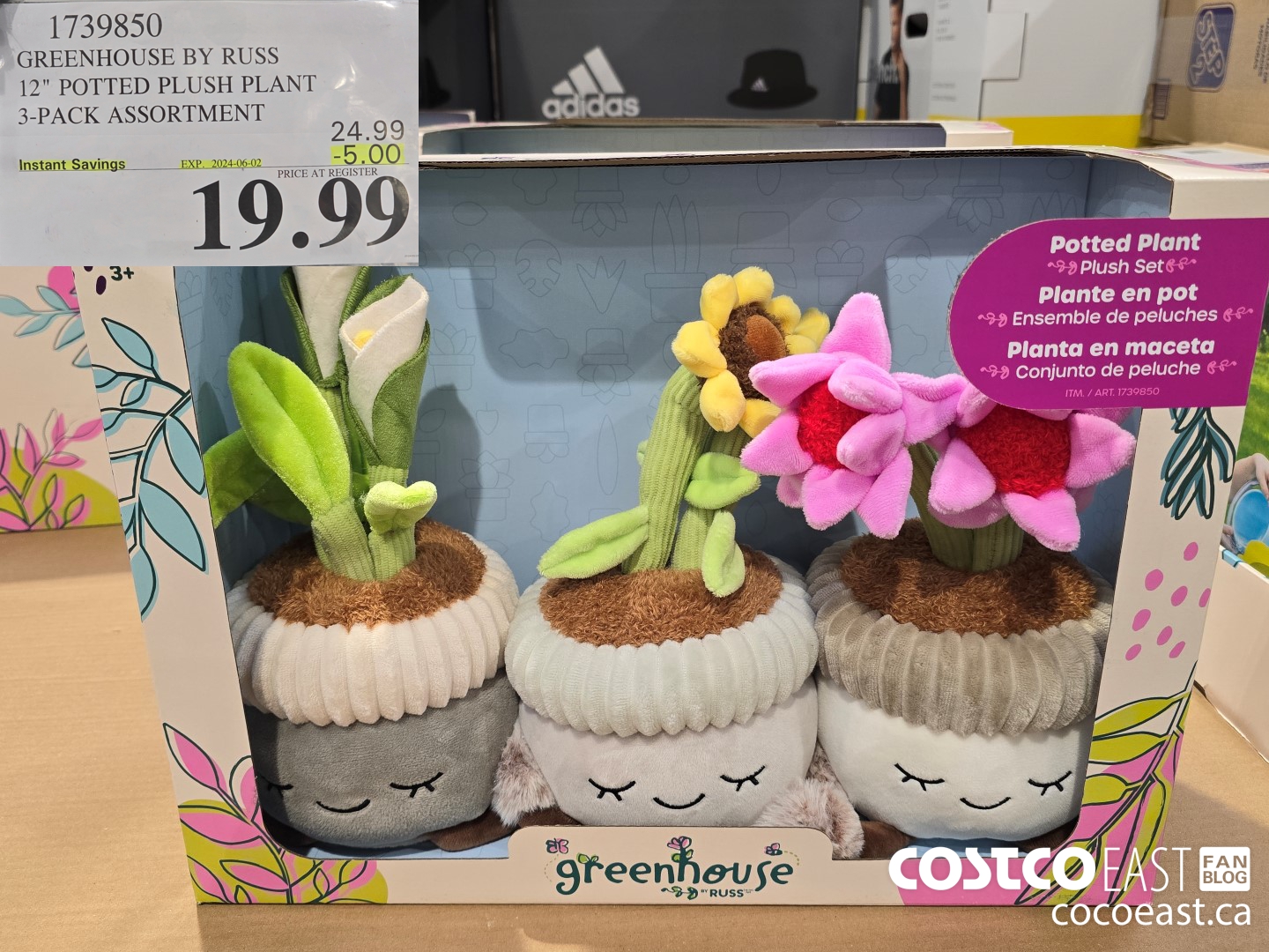 1739850 GREENHOUSE BY RUSS 12