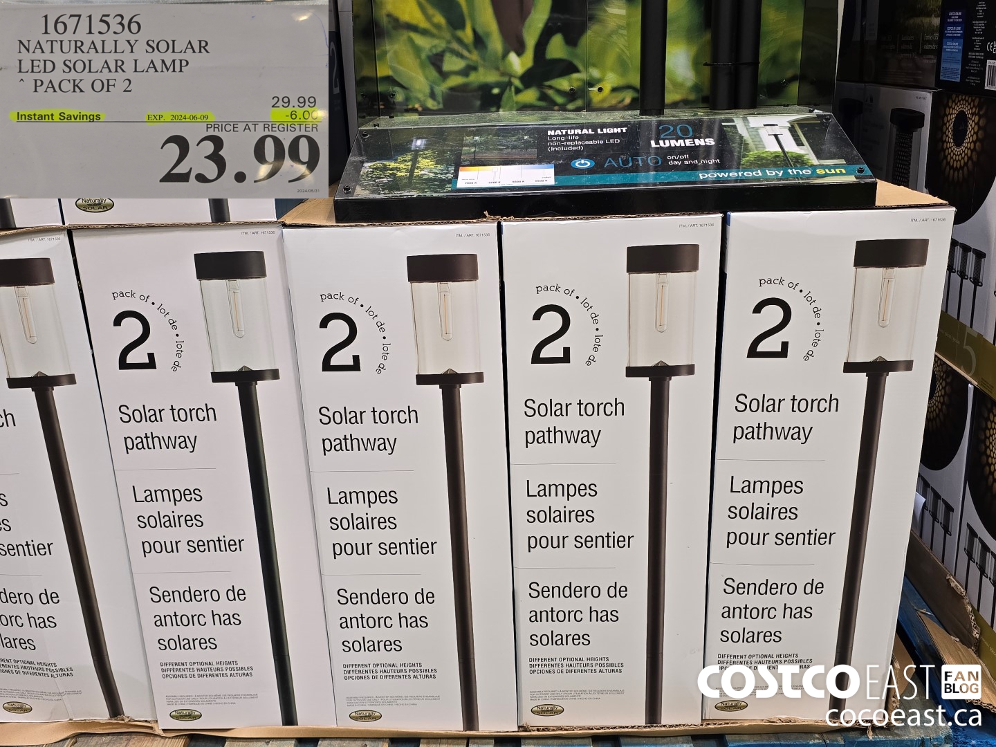 1671536 NATURAI.LY SOLAR LED SOLAR LAMP PACK OF 2 ($6.00 INSTANT SAVINGS EXPIRES ON 2024-06-09) $23.99