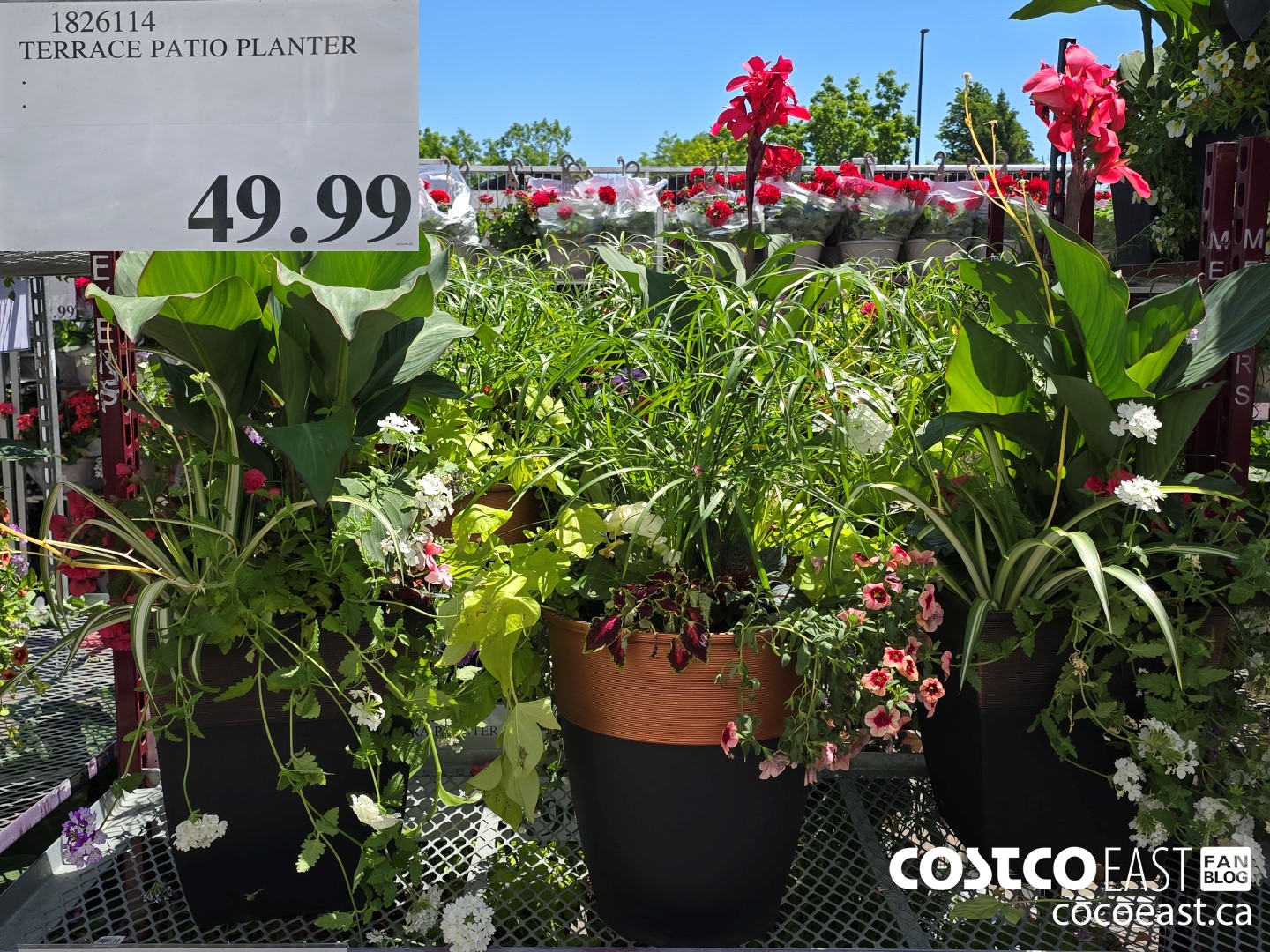 1826114 TERRACE PATIO PLANTER $49.99