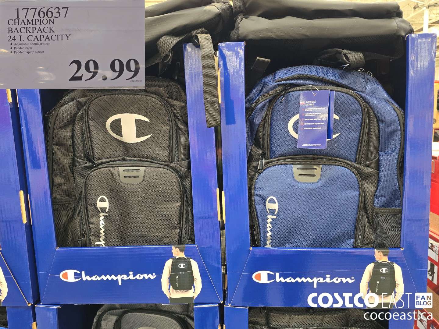 1776637 CHAMPION BACKPACK 24 L CAPACITY $29.99