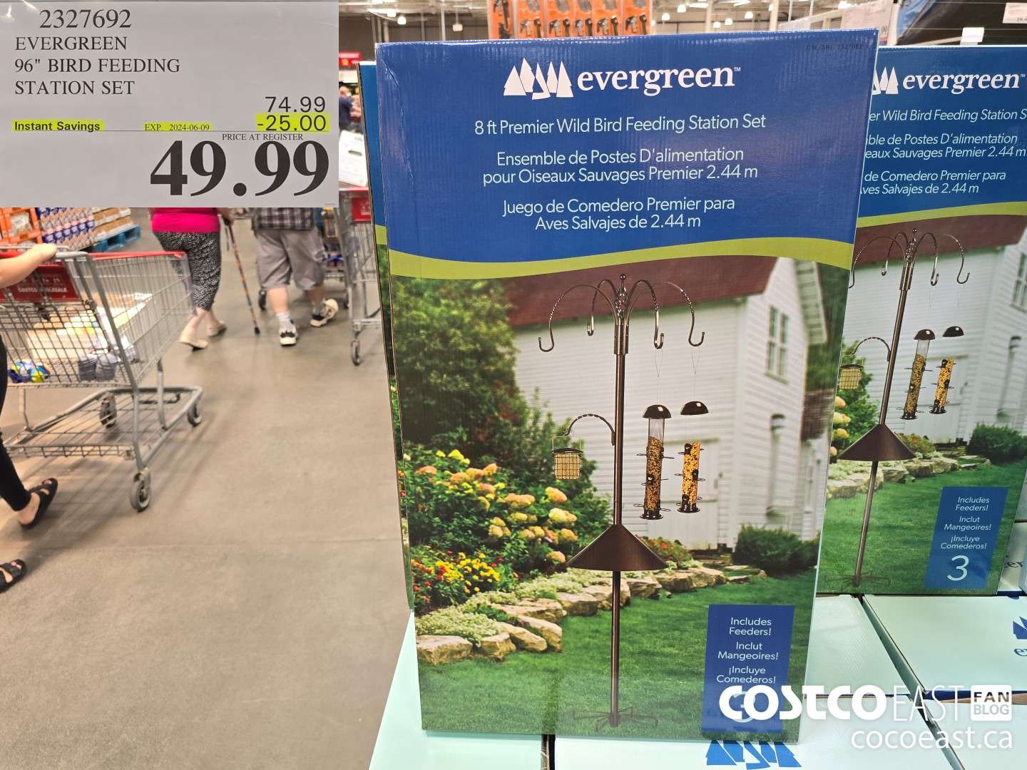 2327692 EVERGREEN 96