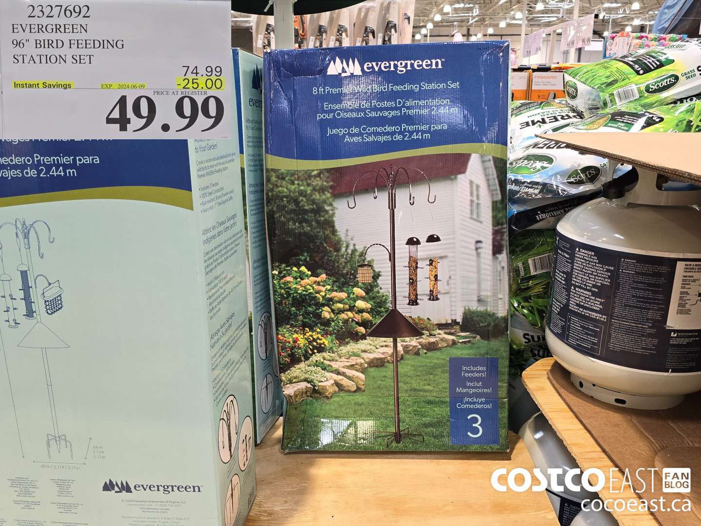 2327692 EVERGREEN 96