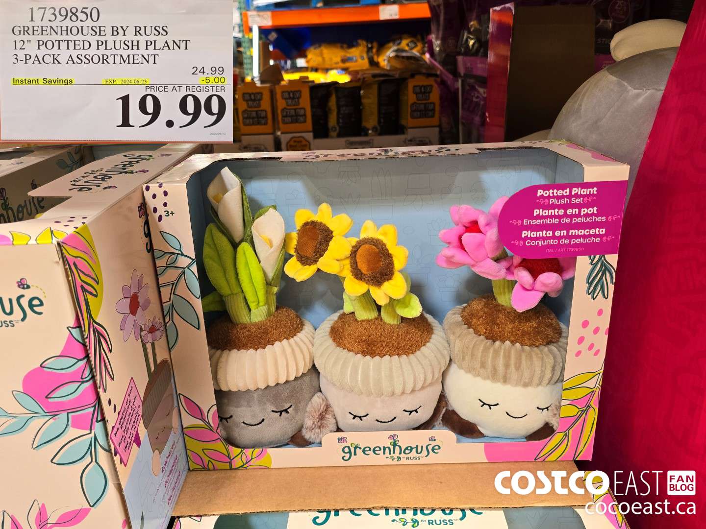 1739850 GREENHOUSE BY RUSS 12