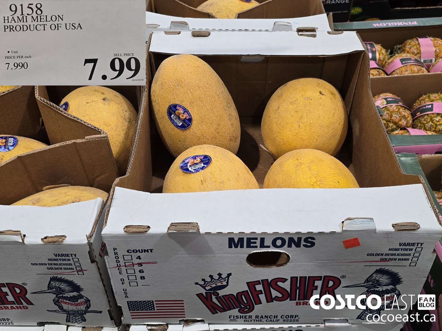 9158 HAMI MELON PRODUCT OF USA $7.99