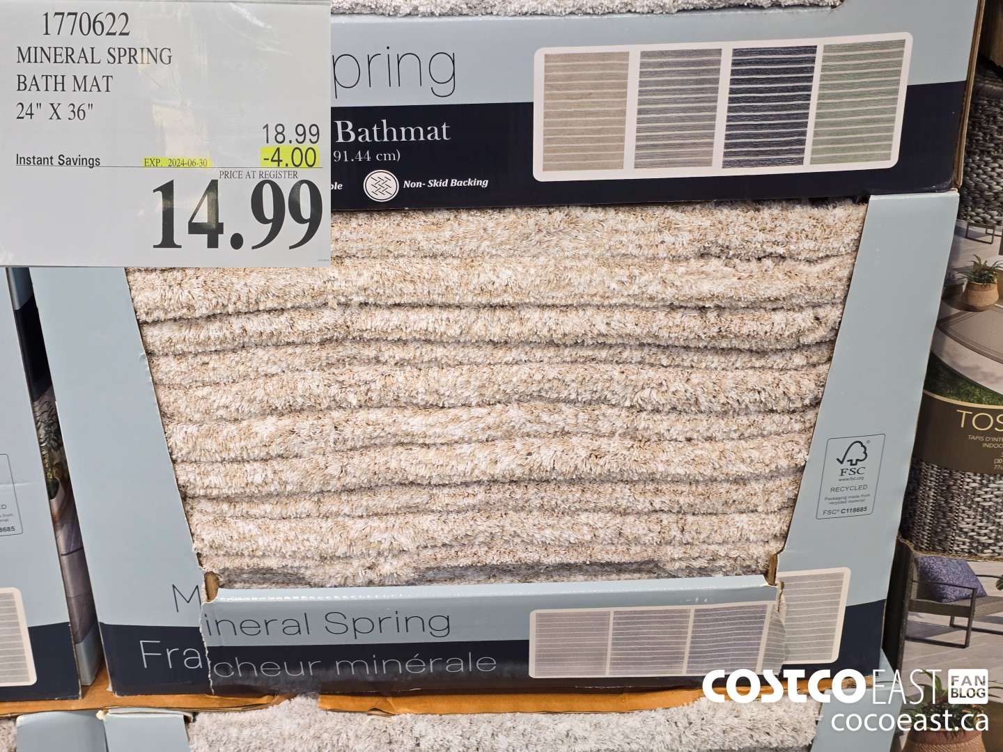 1770622 MINERAL SPRING BATH MAT 24