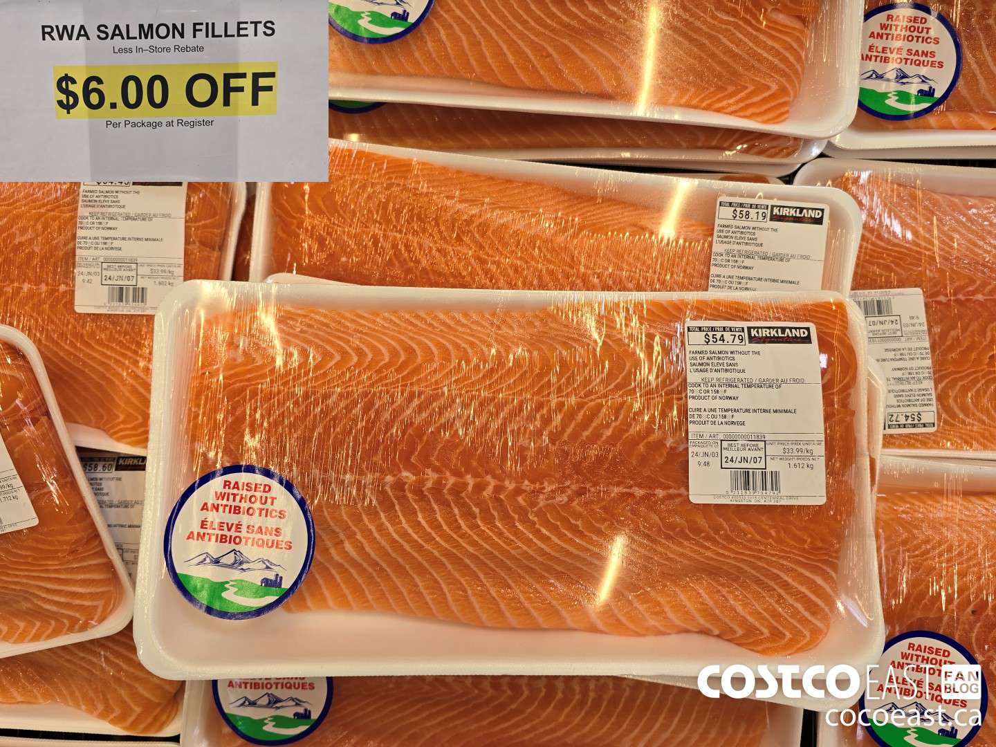 11839 RWA SALMON FILLETS ($6.00 INSTANT SAVINGS)