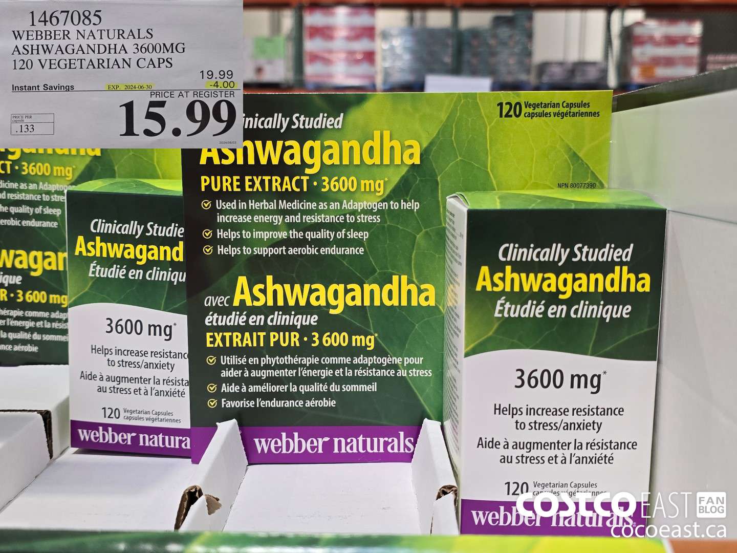 1467085 WEBBER NATURALS ASHWAGANDHA 3600MG 120 VEGETARIAN CAPS ($4.00 INSTANT SAVINGS EXPIRES ON 2024-06-30) $15.99