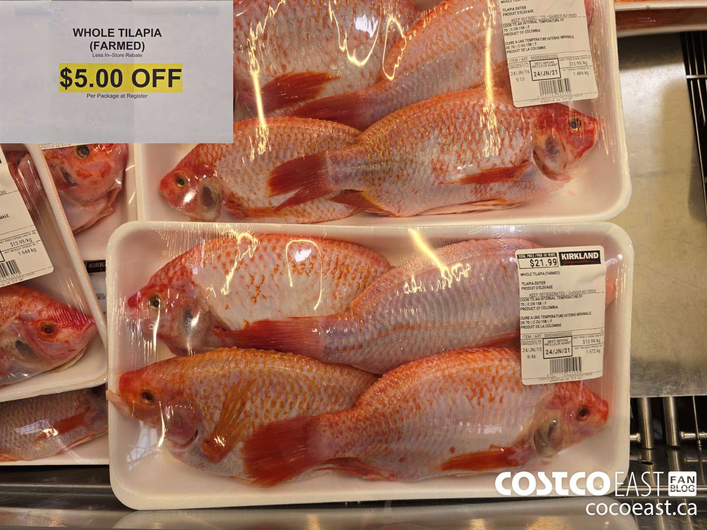 22202 WHOLE TILAPIA (FARMED) ($5.00 INSTANT SAVINGS)