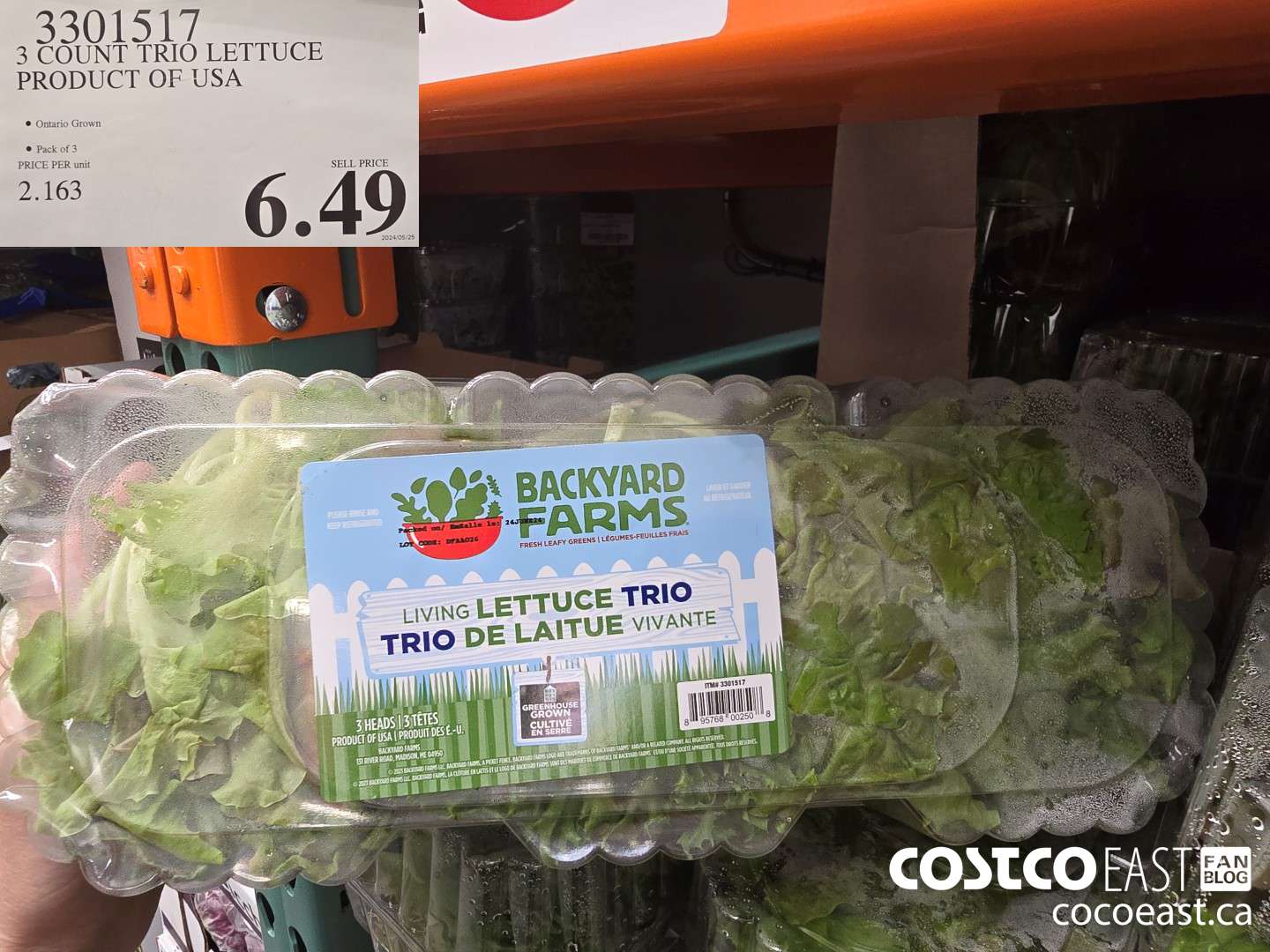 3301517 3 COUNT TRIO LETTUCE PRODUCT OF USA $6.49