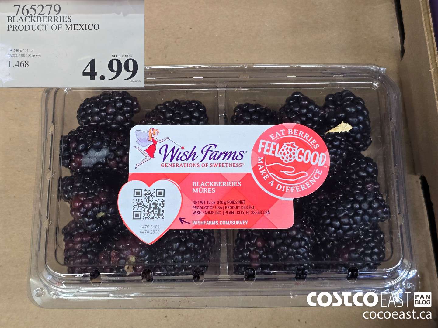 765279 BLACKBERRIES PRODUCT OF MEXICO $4.99