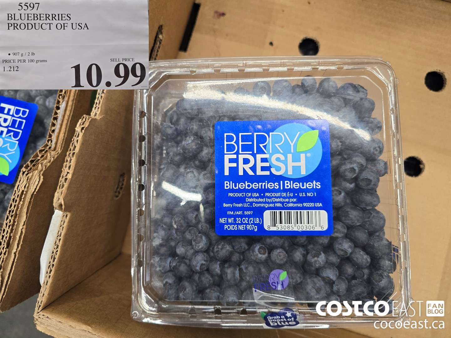 5597 BLUEBERRIES PRODUCT OF USA $10.99