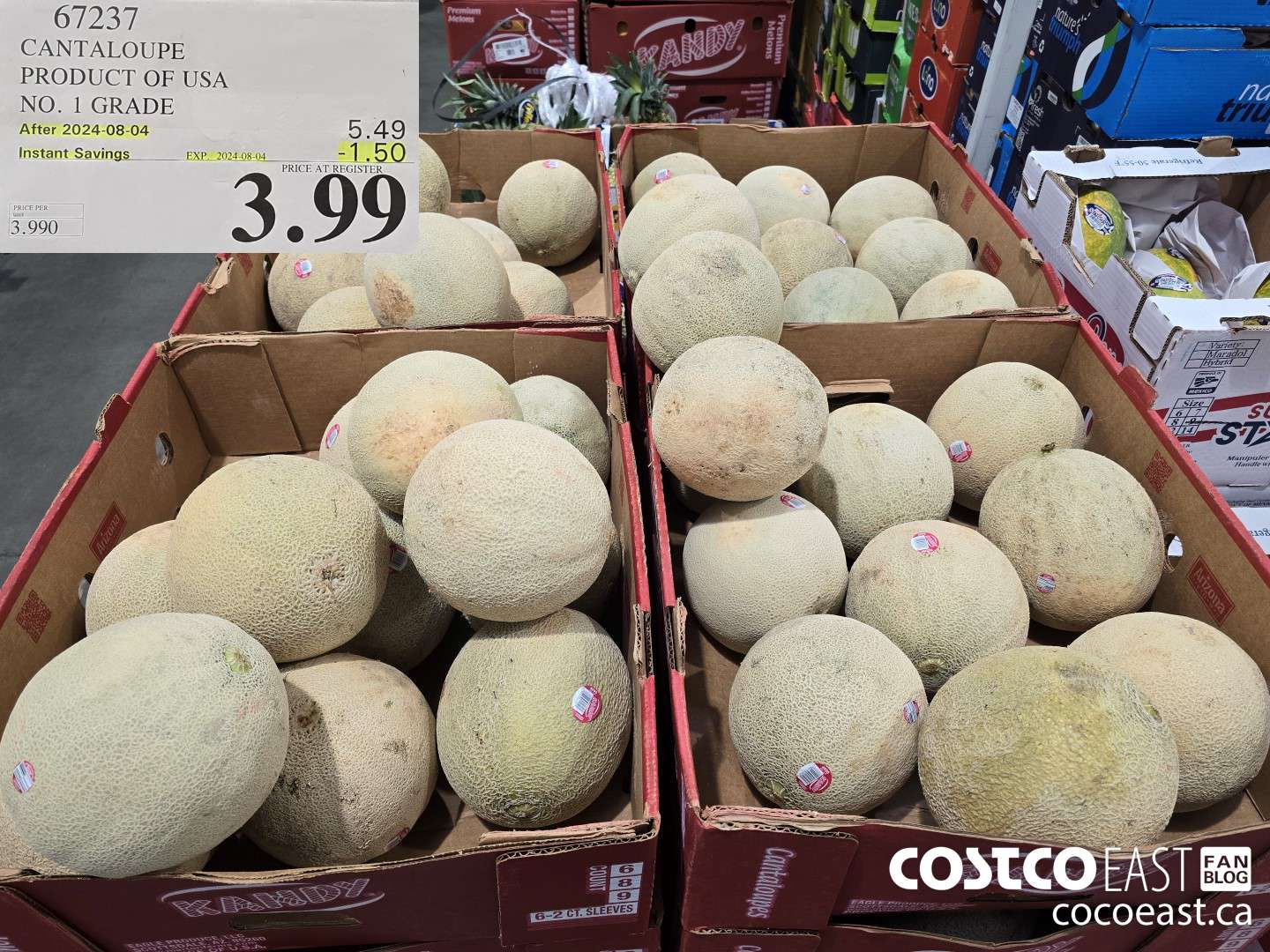 67237 CANTALOUPE PRODUCT OF USA NO. 1 GRADE ($1.50 INSTANT SAVINGS EXPIRES ON 2024-08-04) $3.99