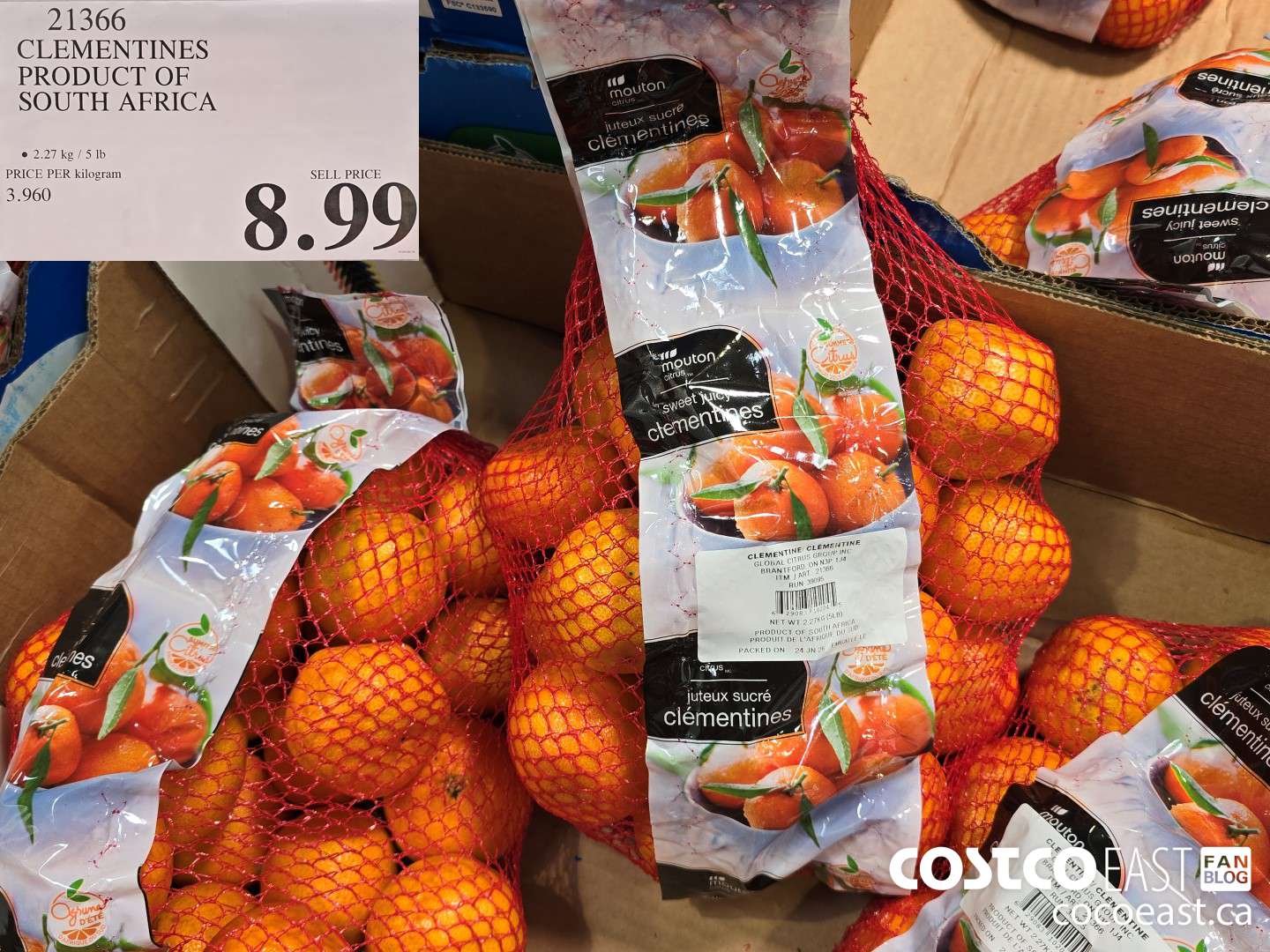 21366 CLEMENTINES PRODUCT OF SOUTH AFRICA $8.99