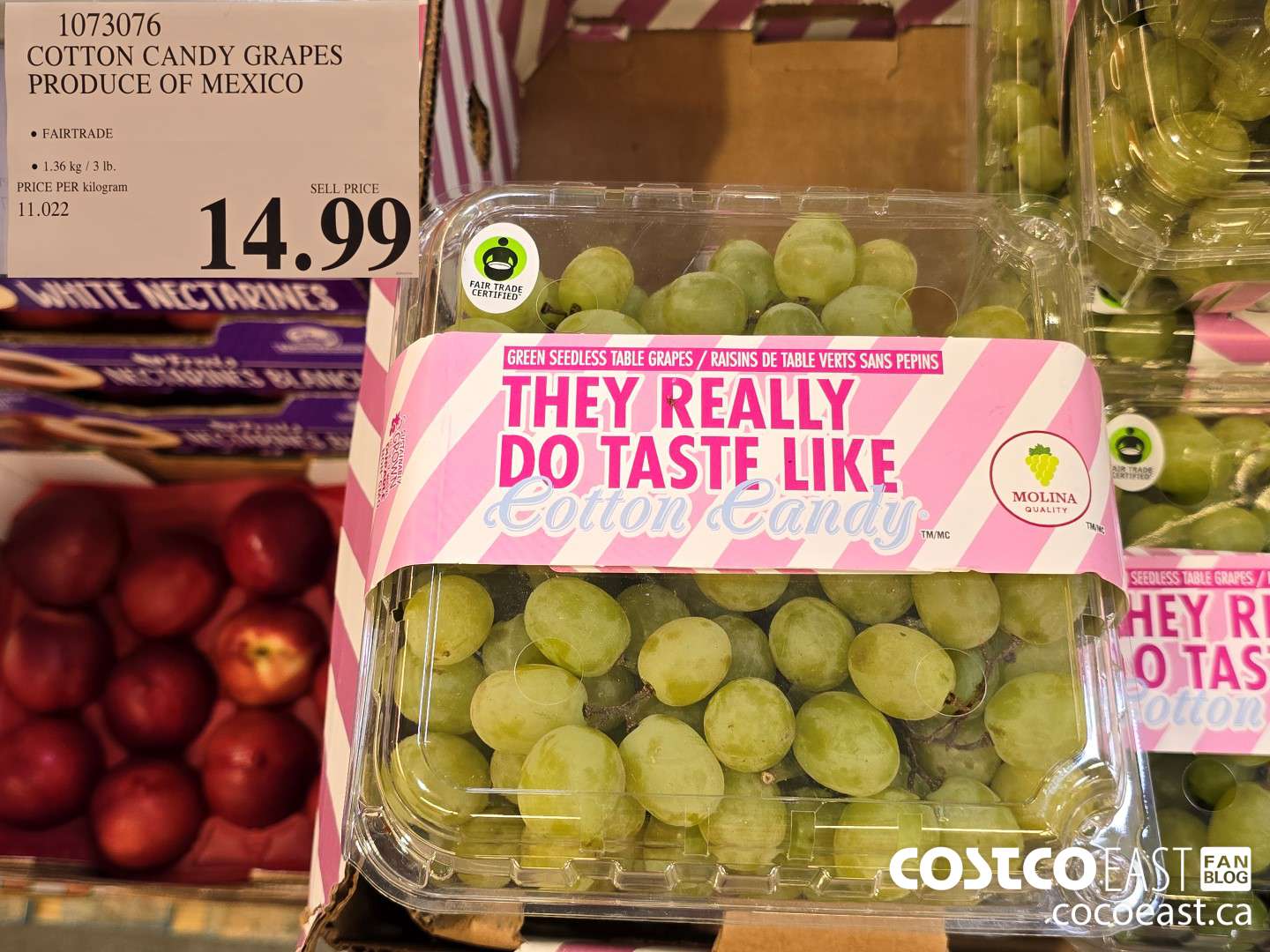 1073076 COTTON CANDY SEEDLESS GREEN GRAPES PRODUCT OF MEXICO $14.99