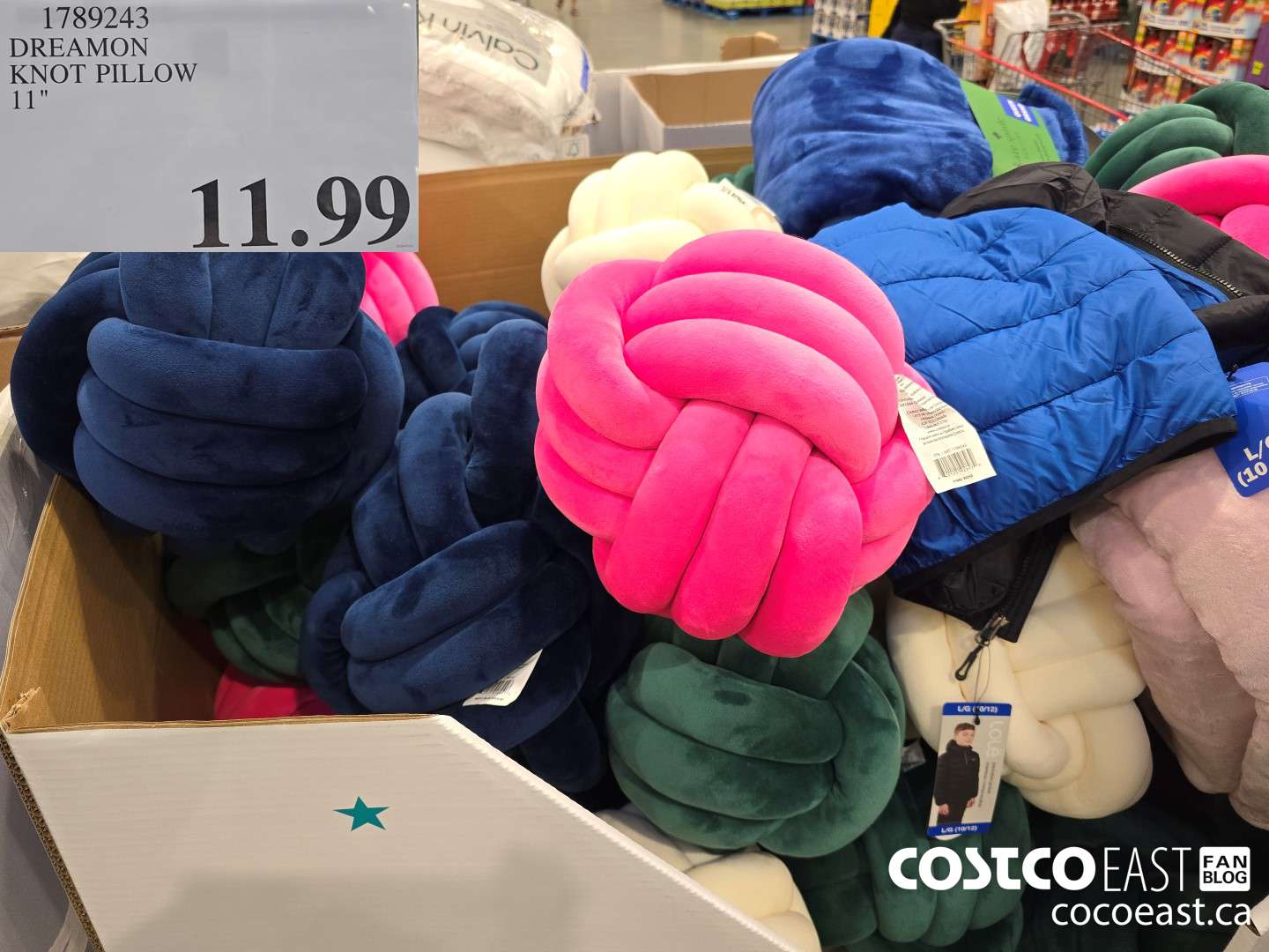 1789243 DREAMON KNOT PILLOW 11