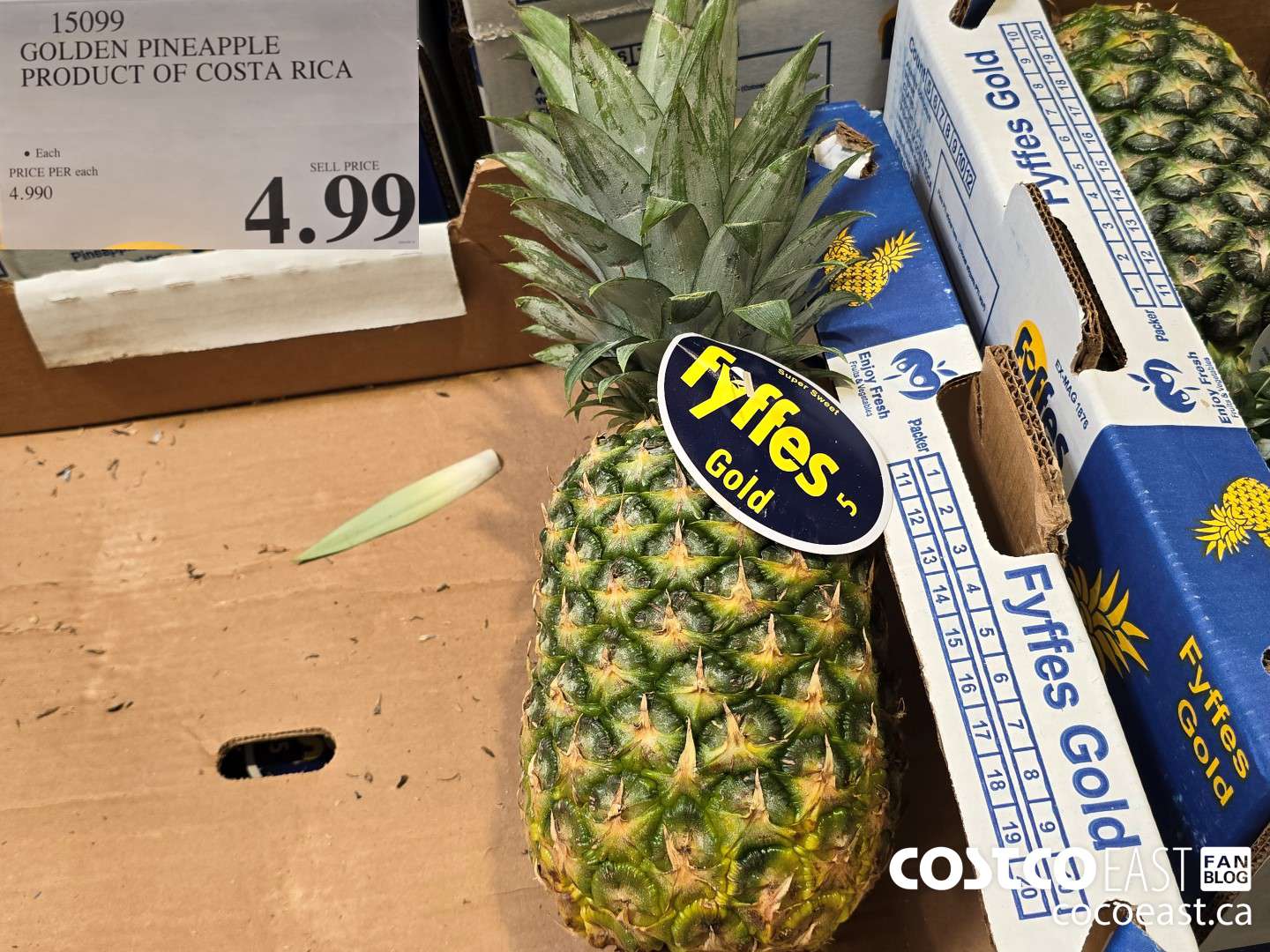 15099 GOLDEN PINEAPPLE PRODUCT OF COSTA RICA $4.99