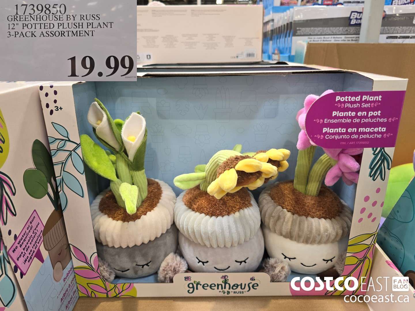 1739850 GREENHOUSE BY RUSS 12