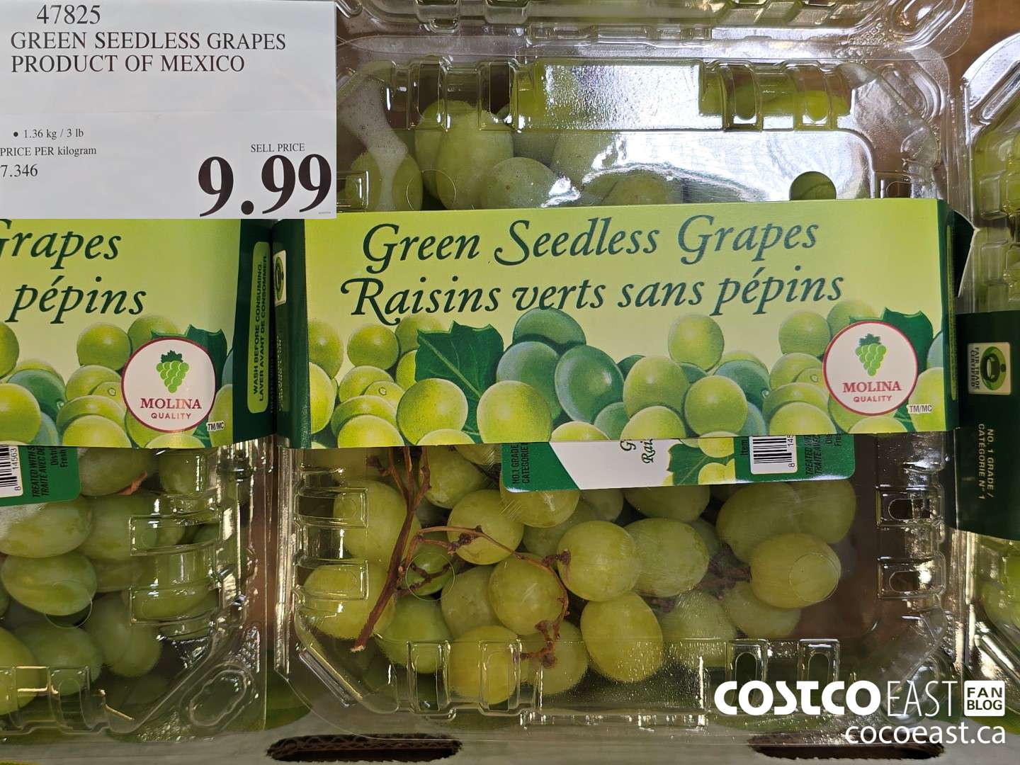 47825 GREEN SEEDLESS GRAPES PRODUCT OF SOUTH AFRICA $9.99