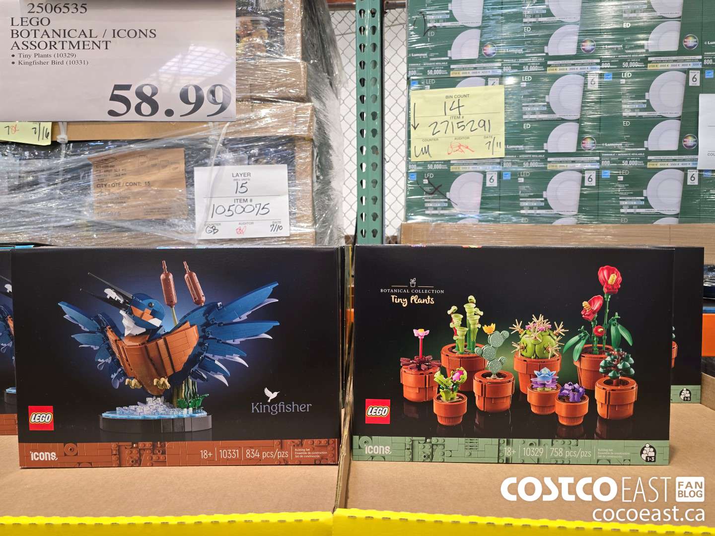 2506535 LEGO BOTANICAL / ICONS ASSORTMENT $58.99