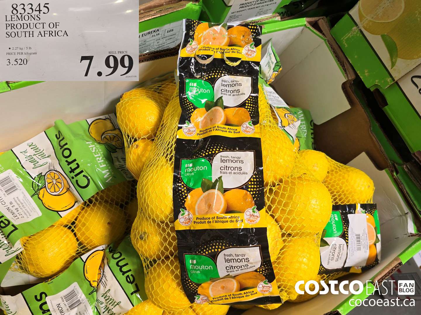 83345 LEMONS PRODUCT OF SOUTH AFRICA $7.99