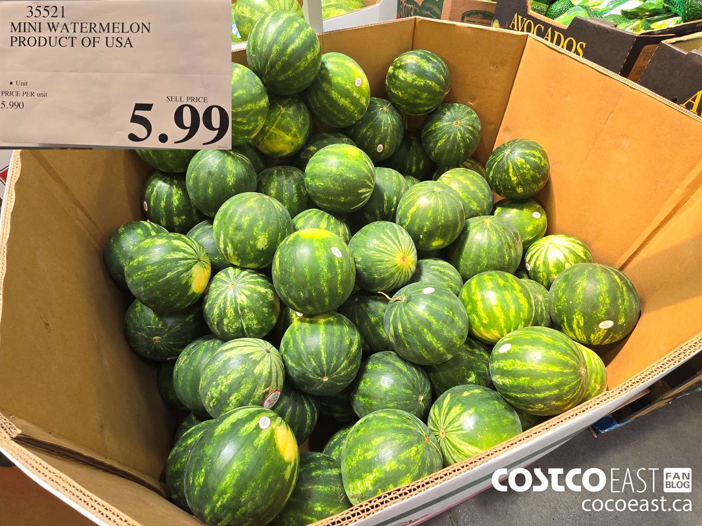 35521 MINI WATERMELON PRODUCT OF USA $5.99