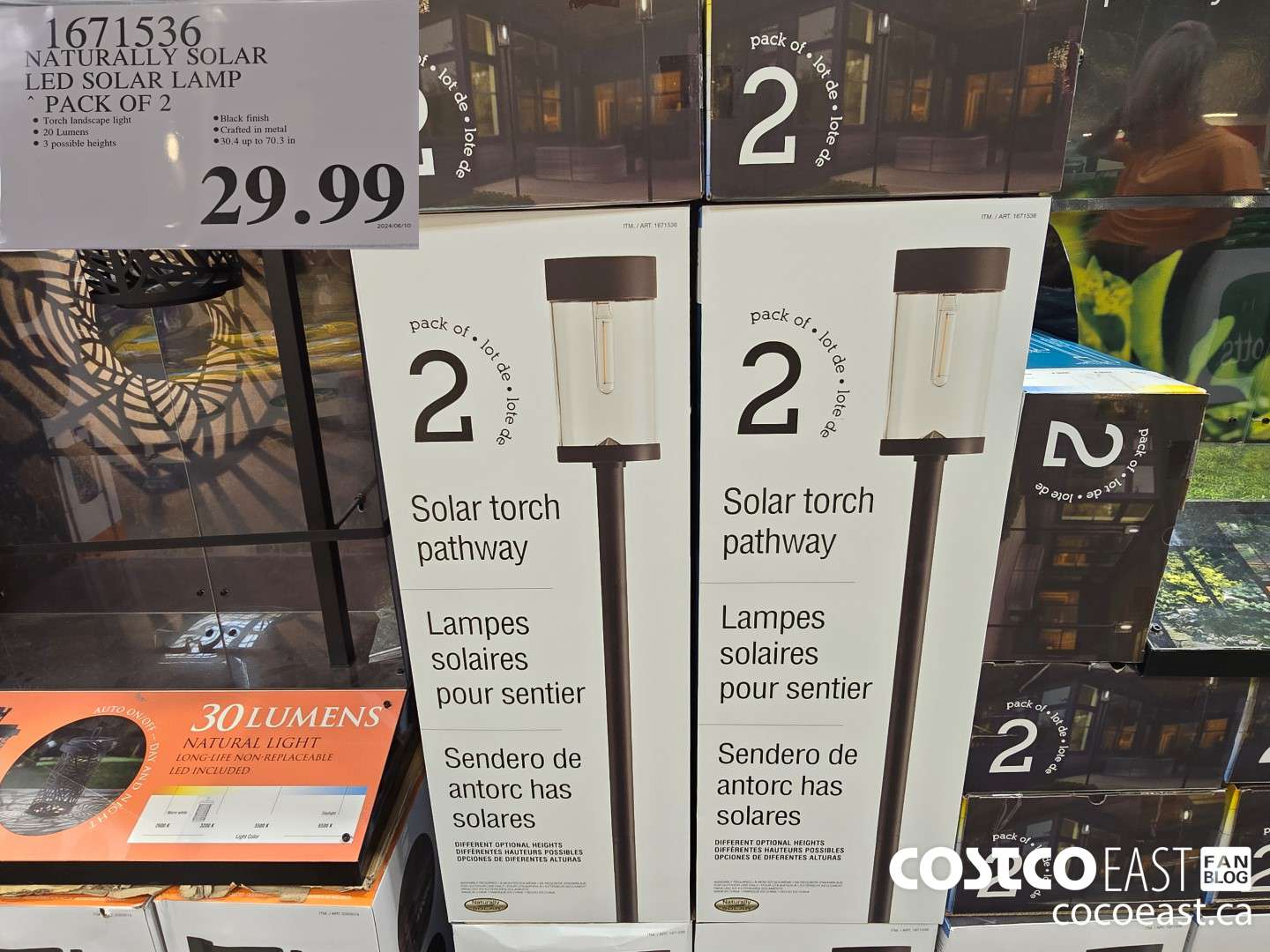 1671536 NATURAI.LY SOLAR LED SOLAR LAMP PACK OF 2 $29.99