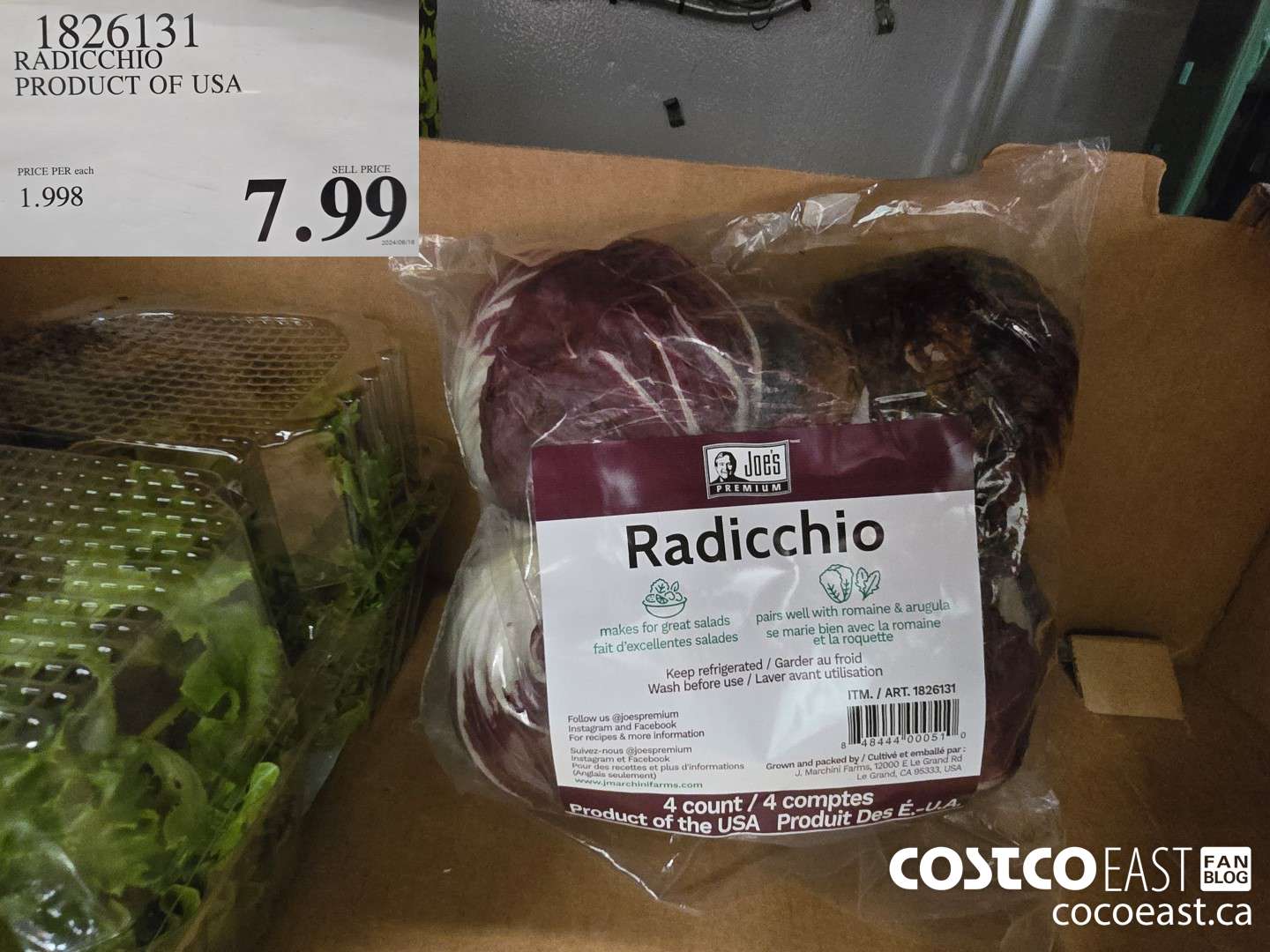 1826131 RADICCHIO PRODUCT OF USA $7.99